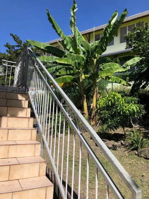 Studio Hibiscus-Ch Vue Sur Mer,Plage,Clim Les Anses-d'Arlets Exterior photo